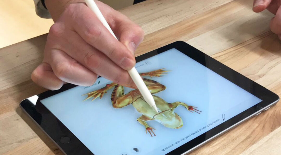 Den Apple Pencil zum Zeichnen auf dem iPad-Display nutzen.
