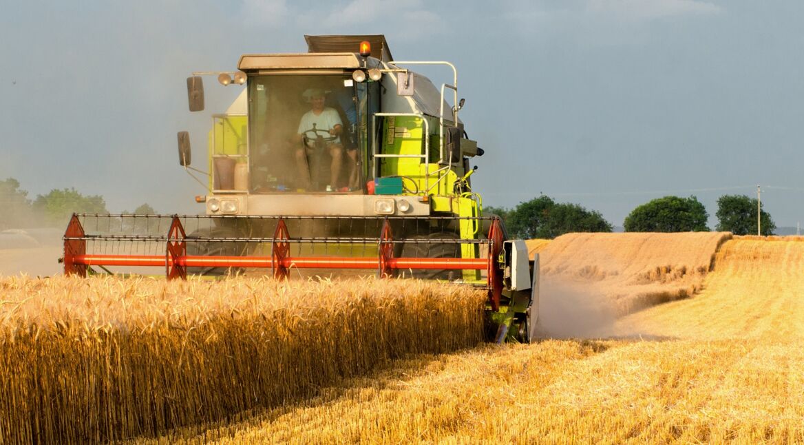 Mähdrescher auf dem Feld