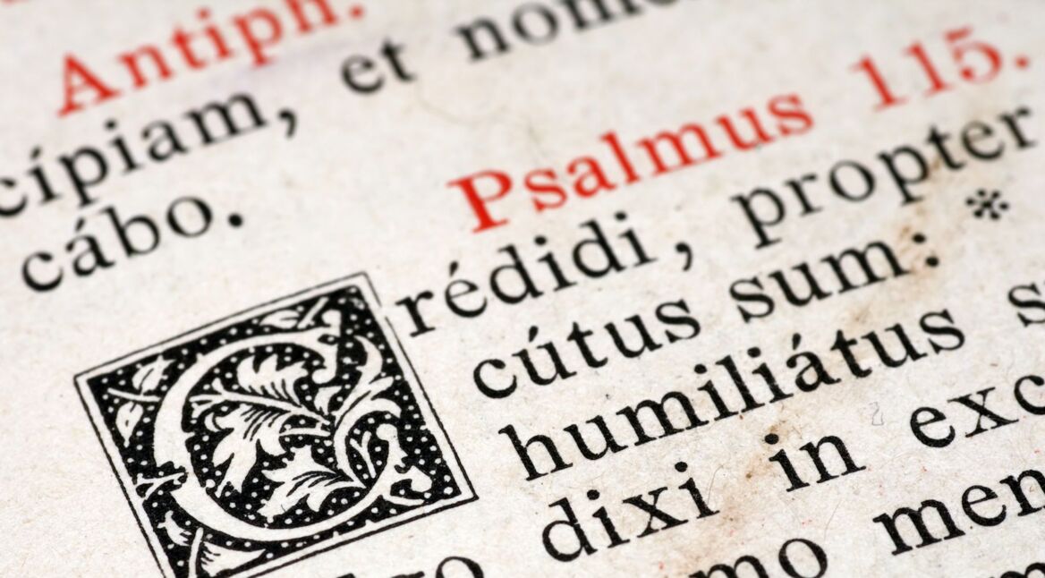 Die lateinische Sprache