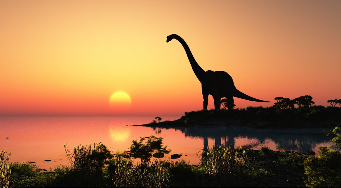 Dinosaurier vor Sonnenuntergang