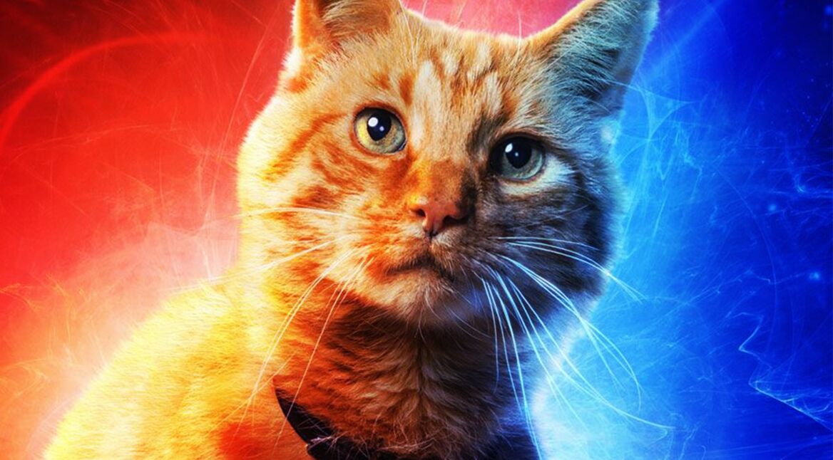 Captain_Marvel_Flerken_Featured[1]