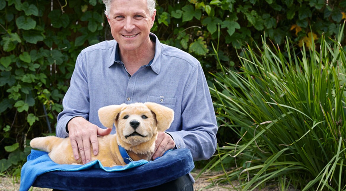 Header-Tombot-Roboterhund