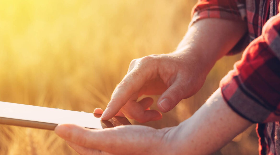 Junger Mann zockt am Smartphone das Game Elder Scrolls: Blades.