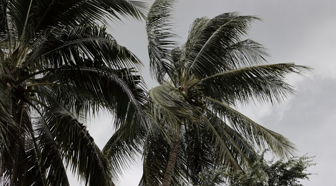 KI-fuer-den-Umweltschutz-Header