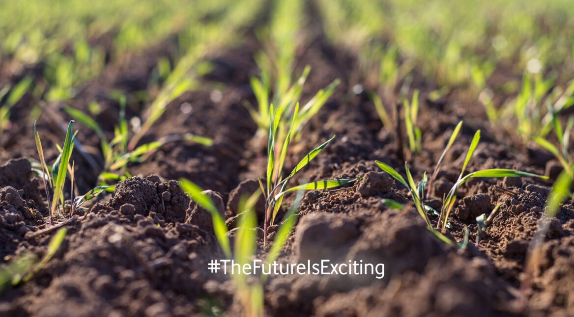 Unkrautroboter machen nachhaltigen Ackerbau erschwinglich