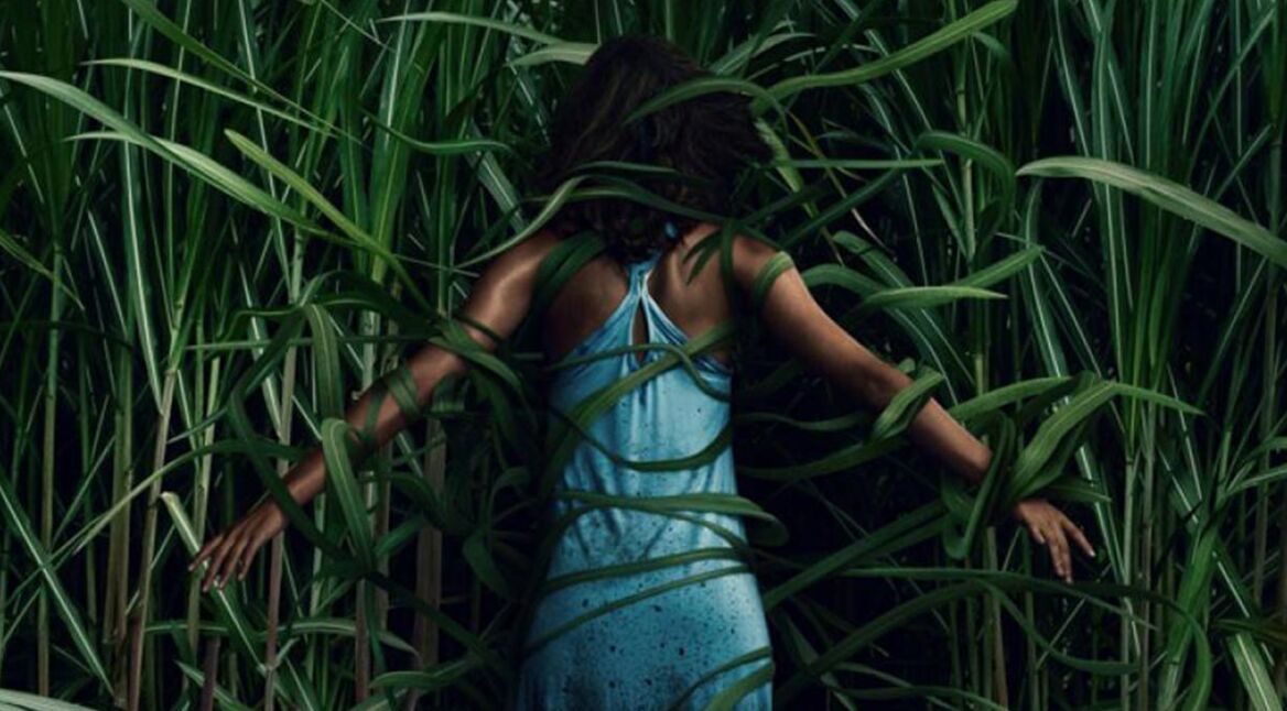 Poster von Im hohen Gras bei Netflix