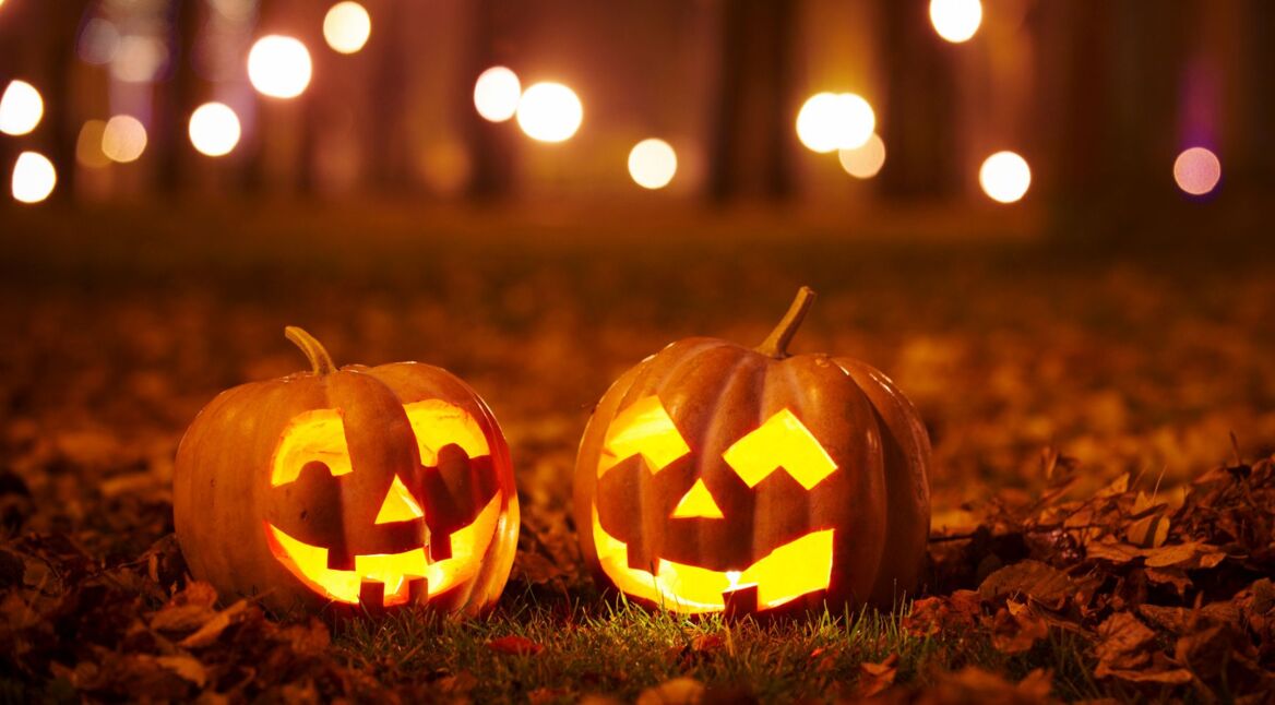 Zwei Halloween-Kürbisse stehen im Wald.