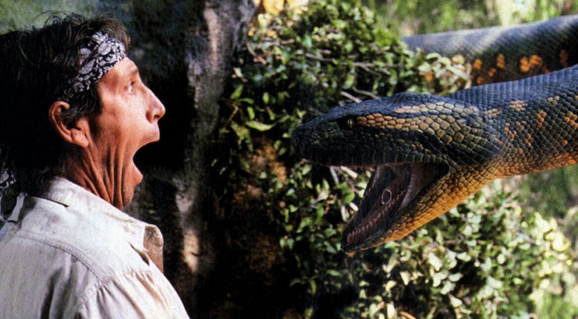 Bild aus dem Horrorfilm „Anaconda”.