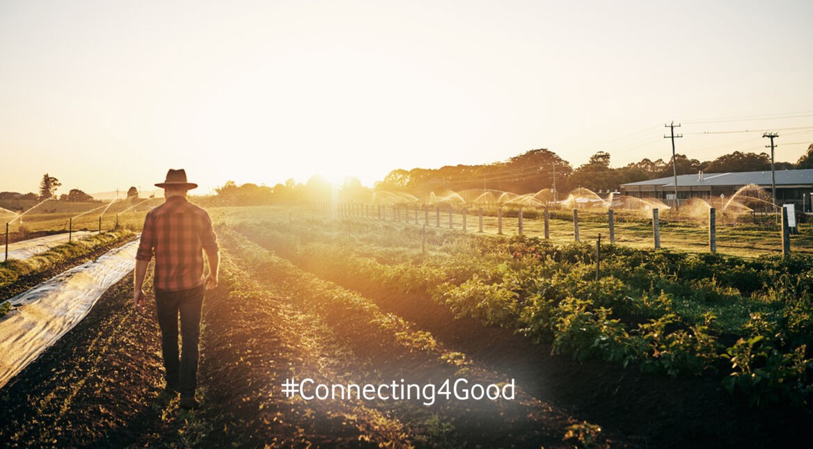 Landwirt geht durch seine Felder, die mit der App gegen Pflanzenschäden überwacht werden