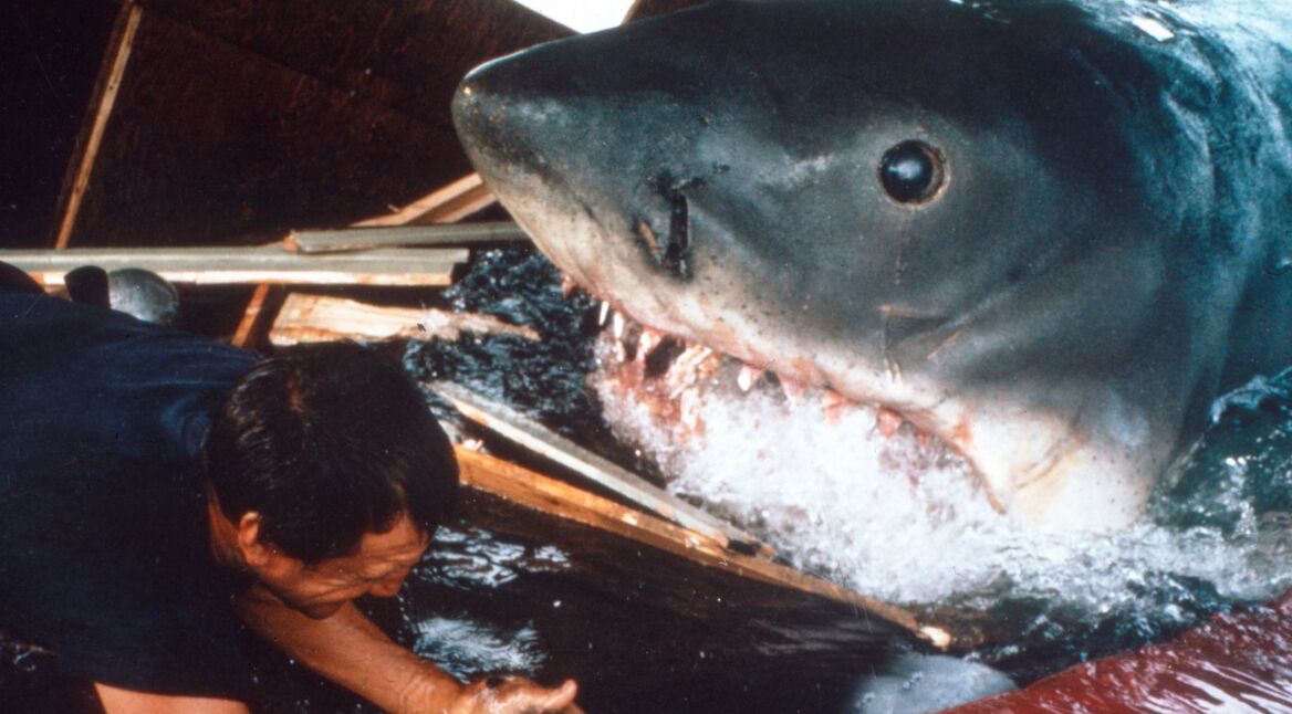 Szenenbild aus „Der weiße Hai“ von 1975.