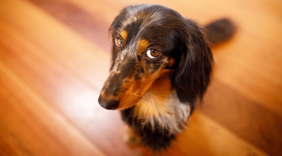 Guilty-Pleasure-Games: Schande über uns