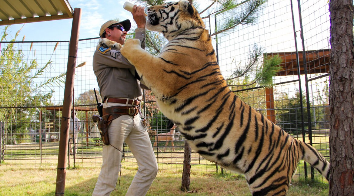 Tiger King