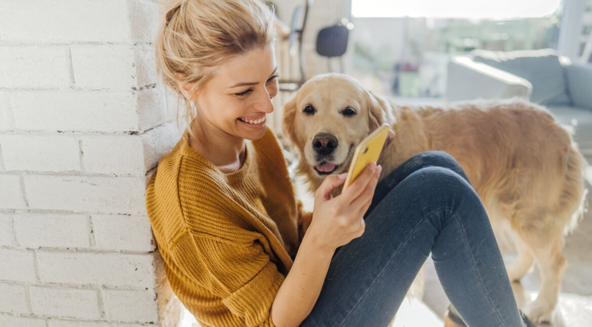 iOS 14: Bild-in-Bild-Modus für Videos