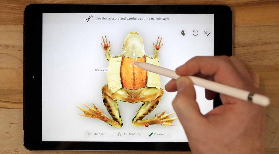 Apple Pencil zeichnet Frosch auf iPad
