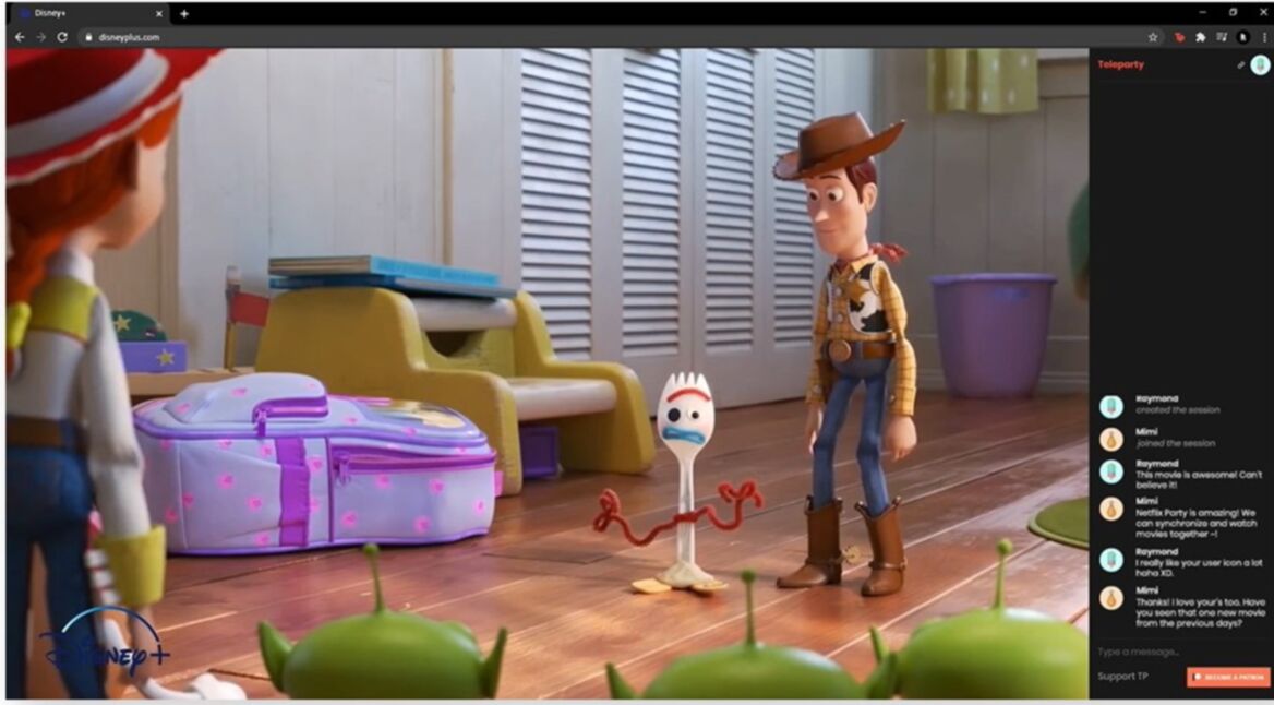 Netflix Teleparty / Toy Story
