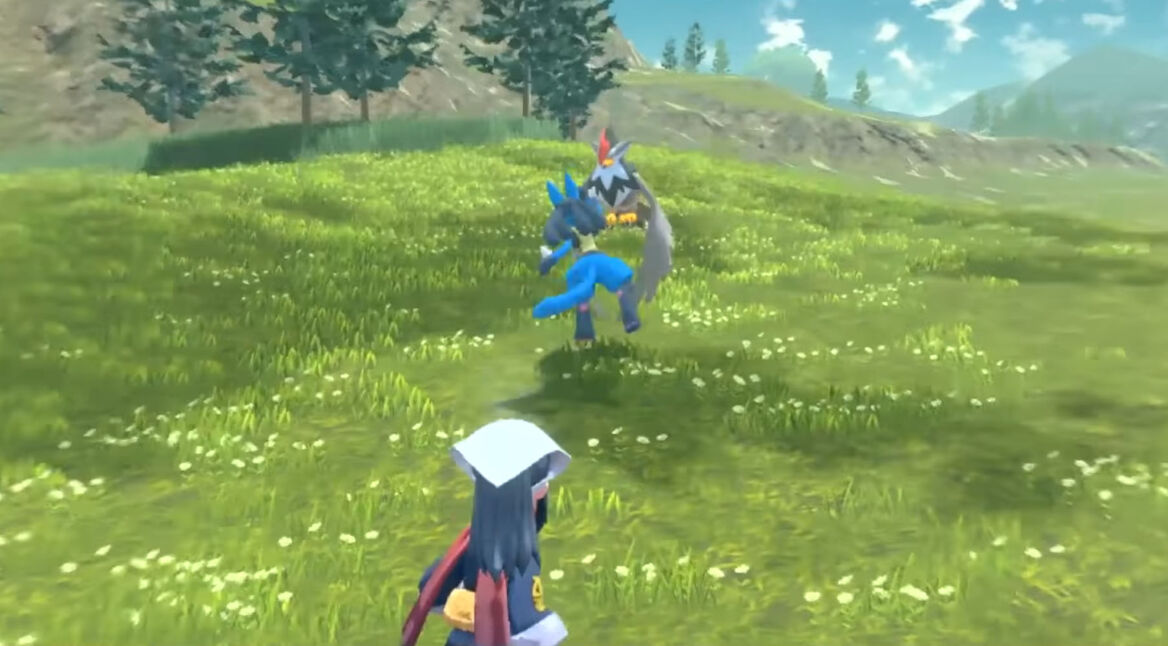 Ein Pokémonkampf zwischen Lucario und Staraptor