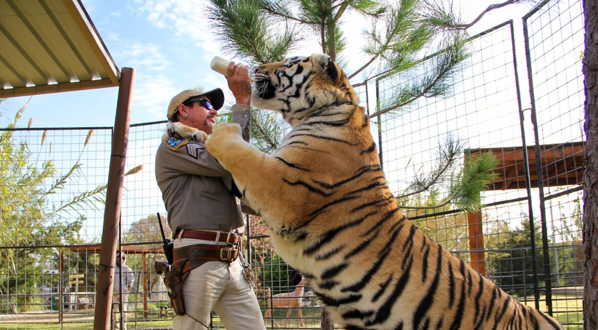 Joe Exotic Tiger King