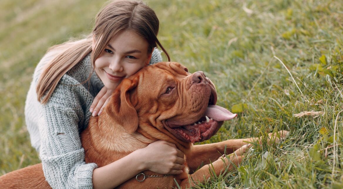 Mensch und Hund: Die besten Hunde-Apps