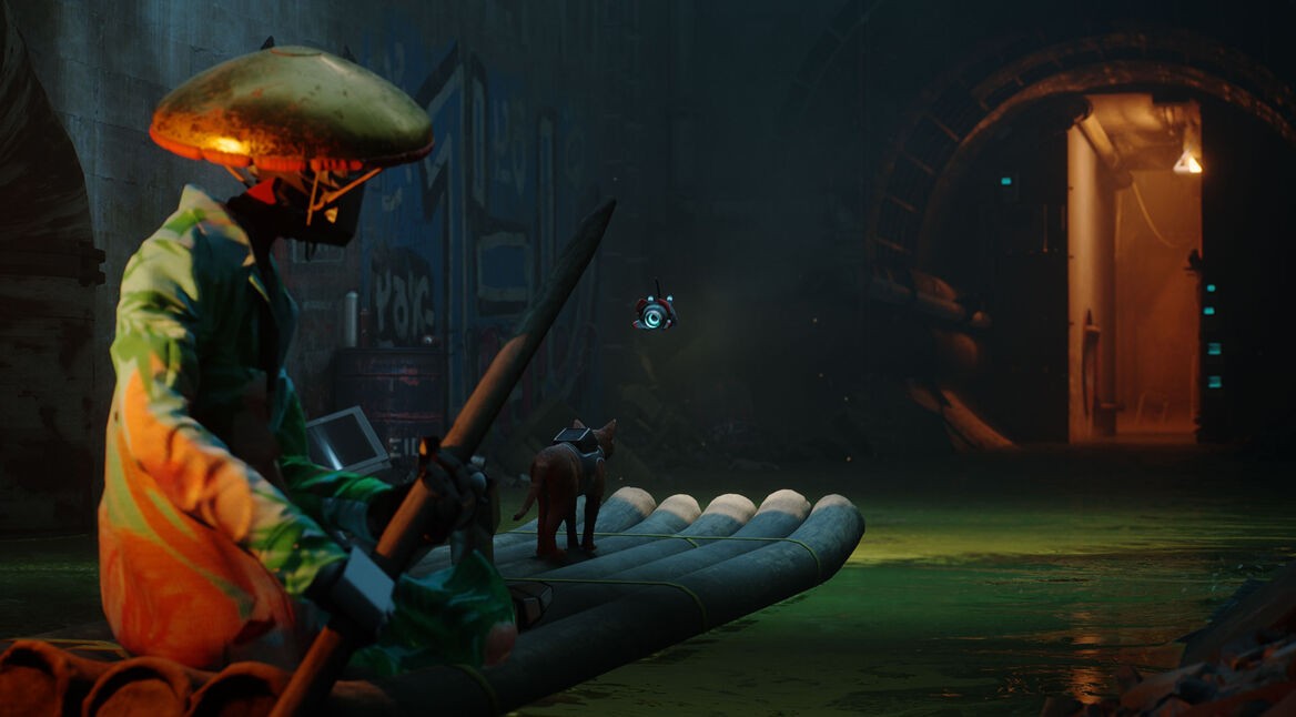 Eine Katze steht auf einem Floß