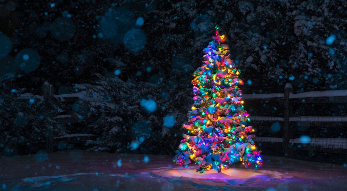 Verrückte Gadgets zu Weihnachten: Ideen für Dein Zuhause