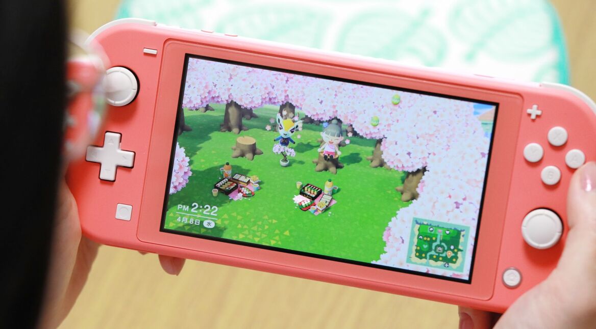 Animal Crossing: New Horizons an der Switch