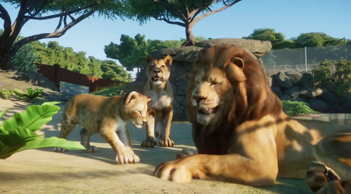 Eine Löwen-Familie in Planet Zoo