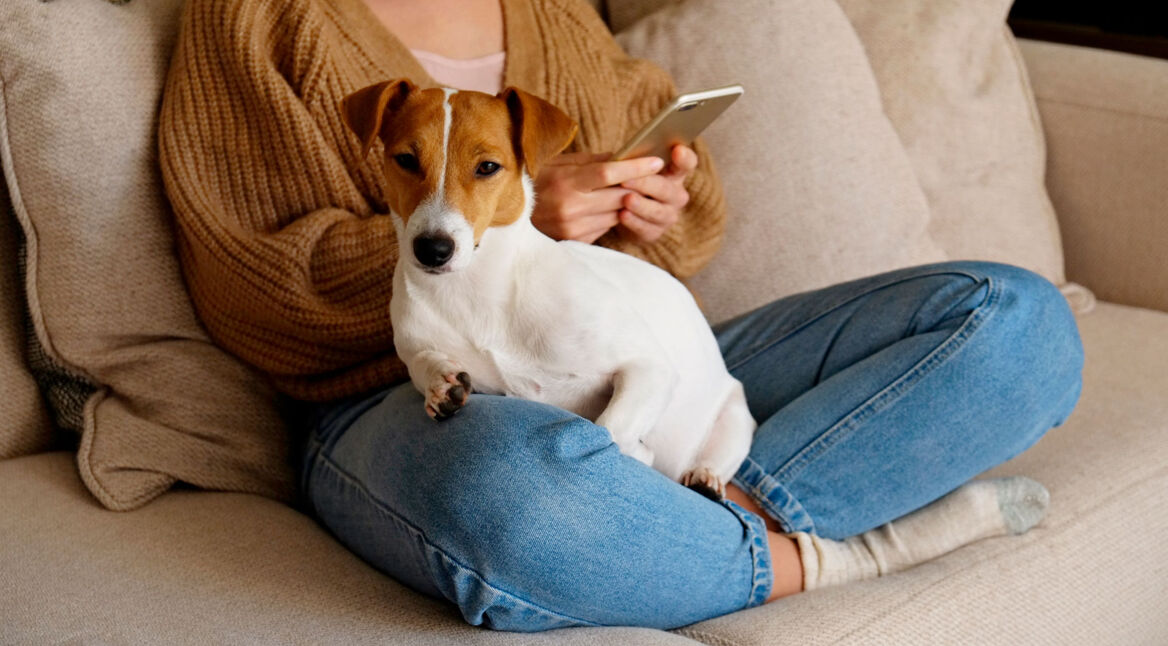 Eine Frau sitzt mit ihrem Hund auf dem Sofa und schaut auf ihr Smartphone