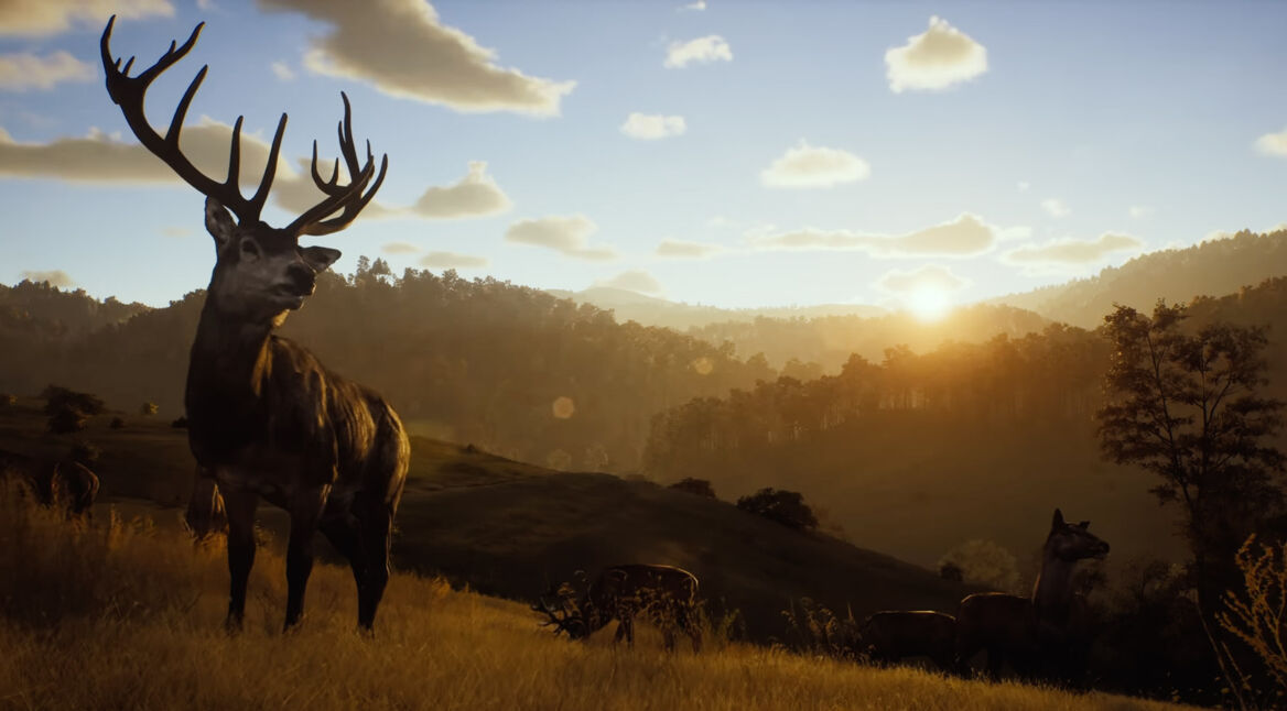 Ein Hirsch in Way of the Hunter