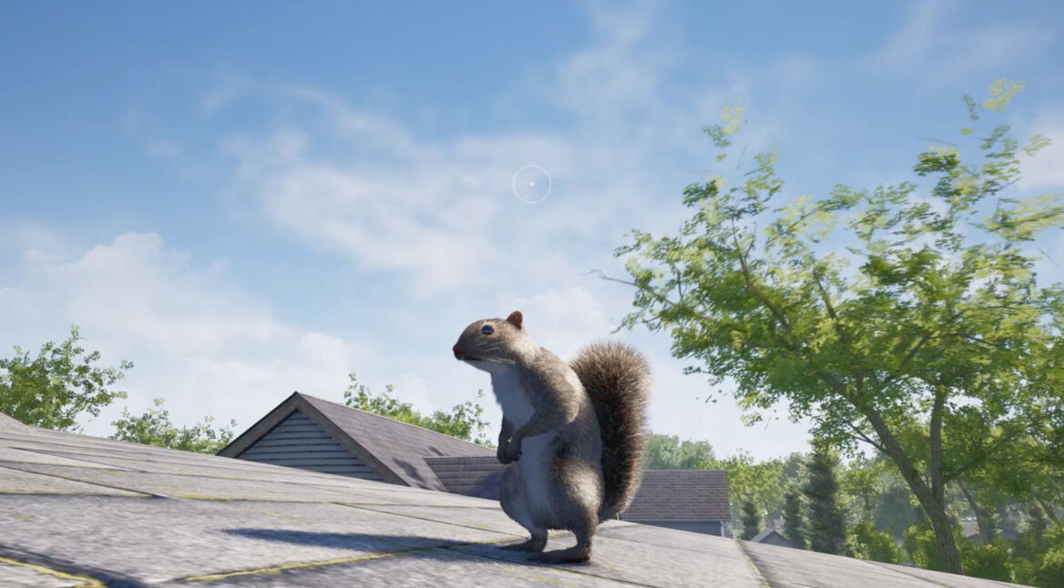 Das Eichhörnchen aus Squirrel with a Gun auf einem Dach