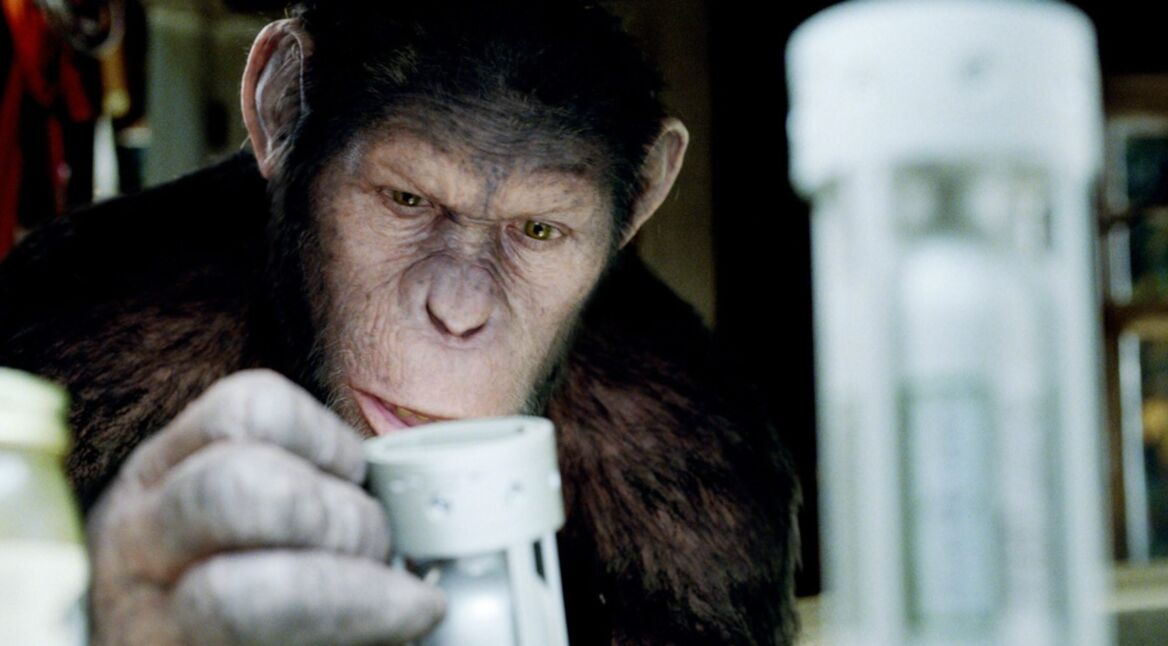 Ein Affe im Chemielabor.