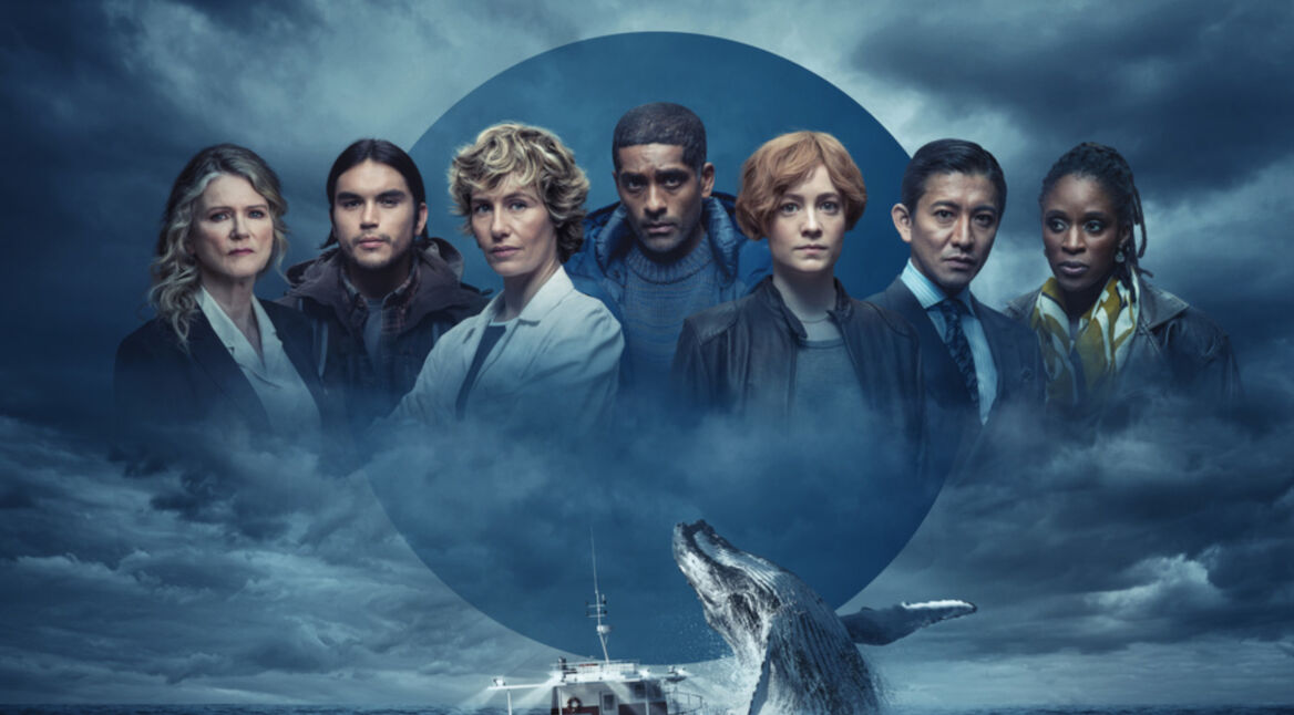 Plakat von Der Schwarm im ZDF