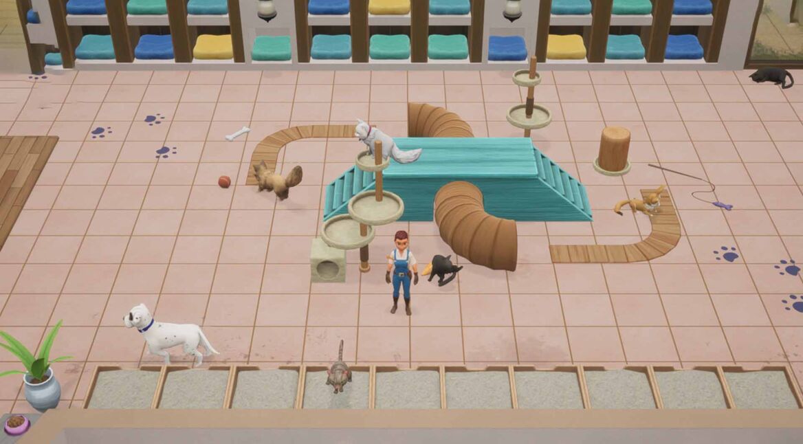 Coral Island: Haustiere adoptieren und Nutztiere kaufen – so geht's