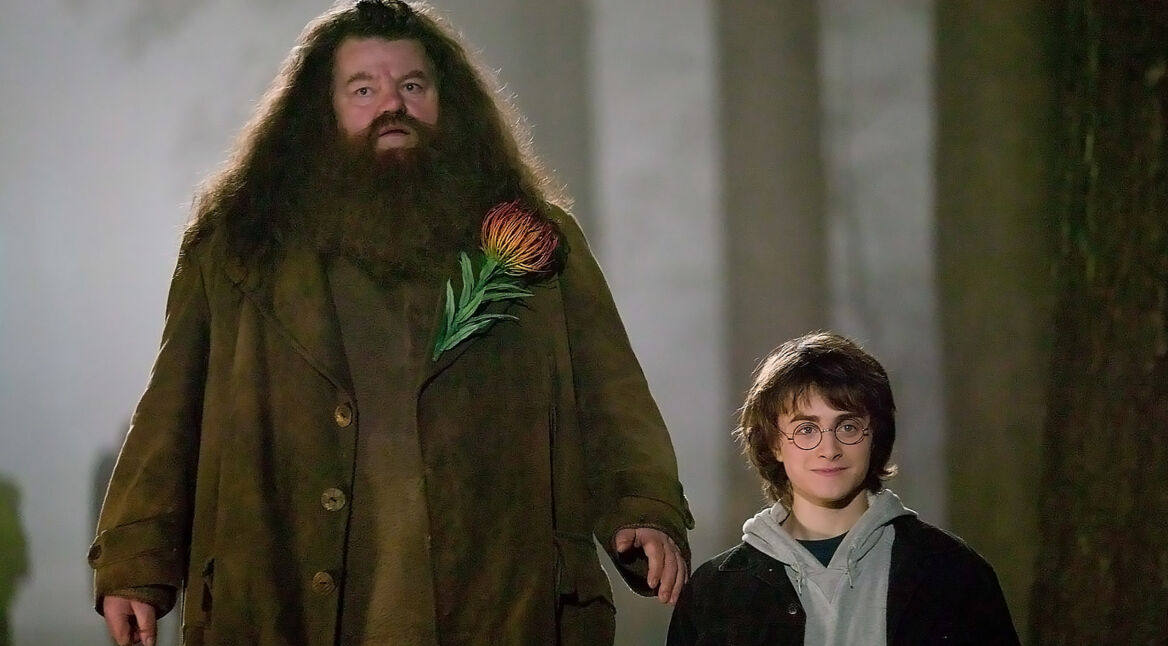 Hagrid und Harry Potter in einer Szene aus „Harry Potter und der Feuerkelch““