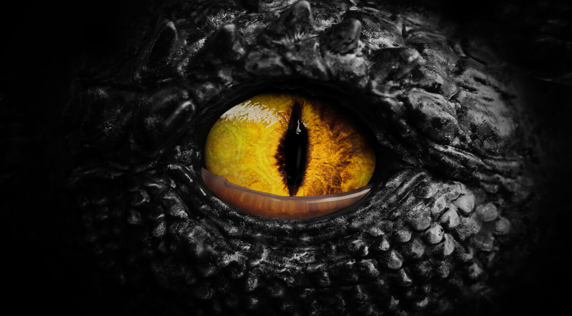 Nahaufnahme eines Drachenauges mit gelber Iris und schwarzer, vertikaler Pupille. Die dunkle, schuppige Haut betont den bedrohlichen Ausdruck. Das Bild erinnert an die Drachenwelt aus der Fourth Wing-Reihenfolge.