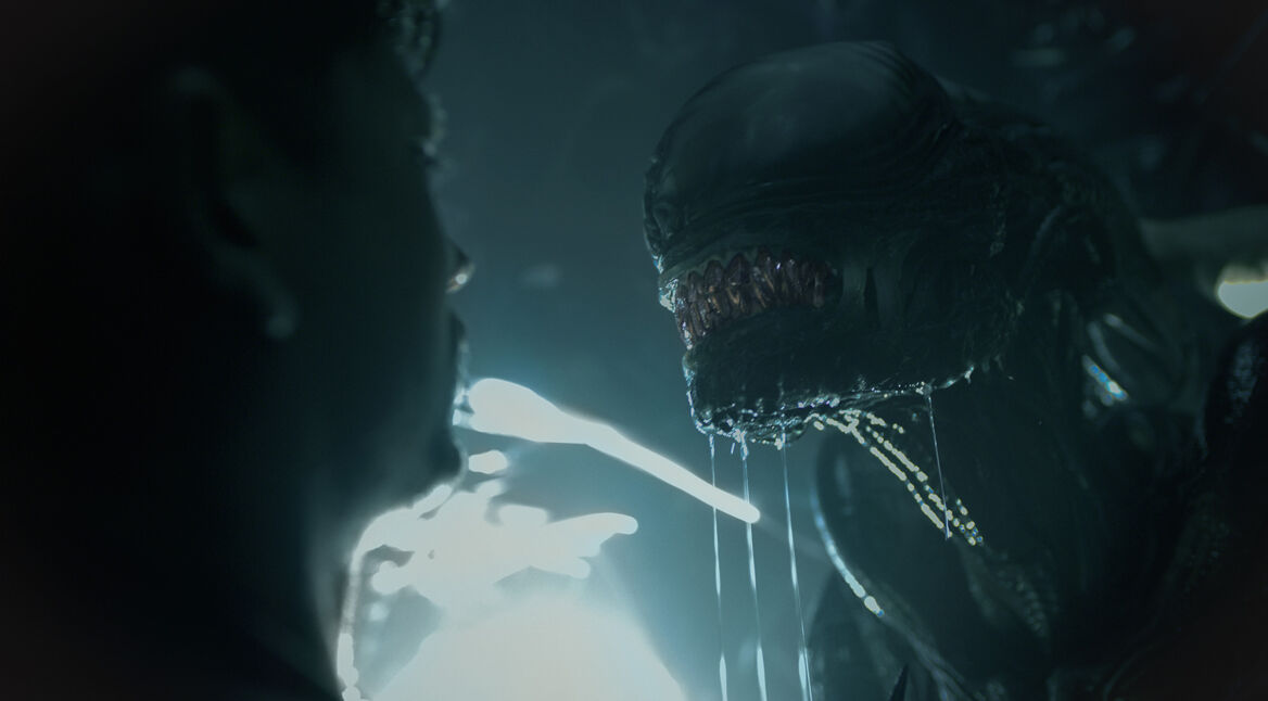 Auf dem Bild zu Alien: Romulus steht eine Person in angespannter Konfrontation mit einem Xenomorph. Das ikonische Alien, mit glänzendem, biomechanischem Kopf und tropfendem Speichel, nähert sich bedrohlich. Die dunkle, neblige Atmosphäre und das kalte Licht im Hintergrund verstärken die Spannung. Die angedeutete Silhouette der Person unterstreicht die Gefahr und das Gefühl von Ausweglosigkeit in dieser intensiven Szene.