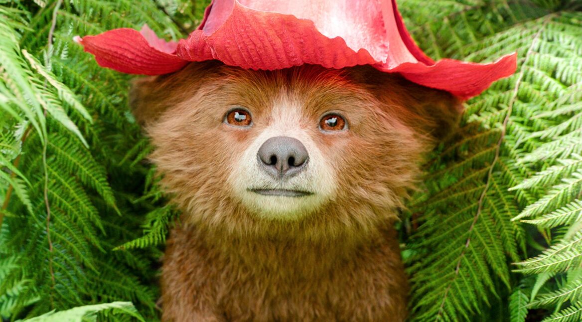 Auf dem Bild zu den GigaTV-Highlights im Mai ist Paddington aus dem Film „Paddington in Peru“ zu sehen. Der kleine Bär blickt mit offenem, neugierigem Gesichtsausdruck direkt in die Kamera, umgeben von leuchtend grünen Farnblättern. Auf seinem Kopf trägt er einen roten, blütenförmigen Hut, der die Szene märchenhaft wirken lässt.
