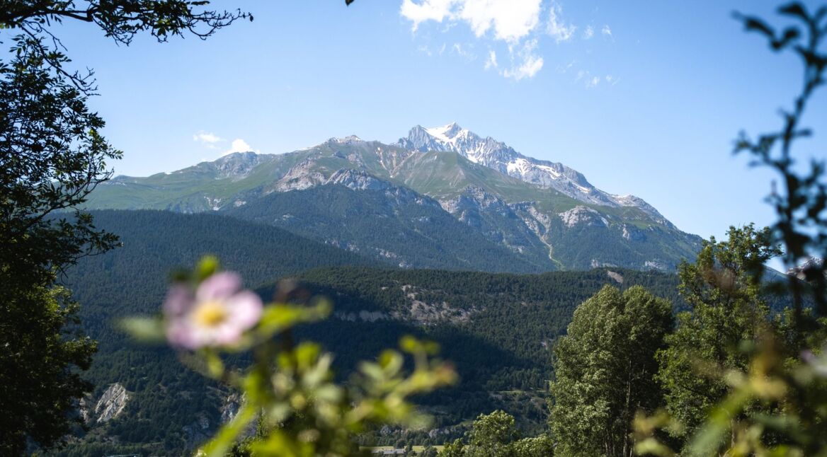 Blick auf das Bergpanorama vom Nationalpark Vanoise.
