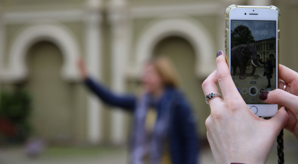Asiatischer Elefant wird mit per AR zum Leben erweckt