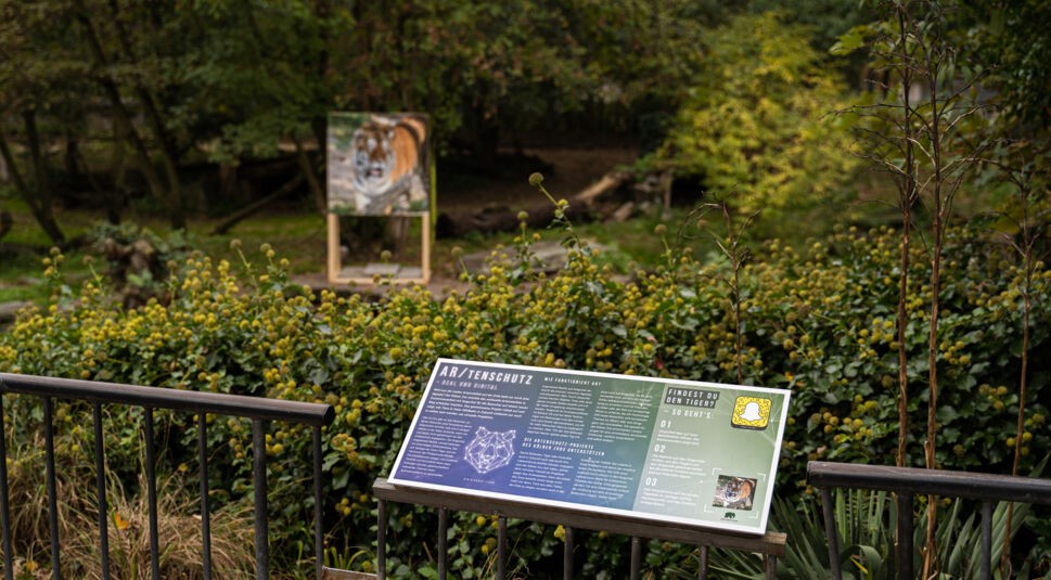 tiger-artenschutz