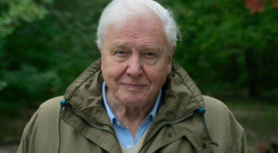 David Attenborough