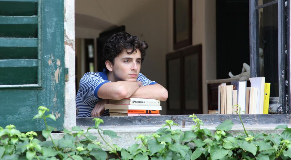 Timothée Chalamet stützt den Kopf auf Bücher und schaut aus dem Fenster