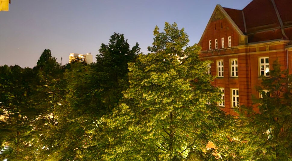 Nachtaufnahme eines großen Baumes im Vordergrund, im Hintergrund ein rotes Backsteinhaus