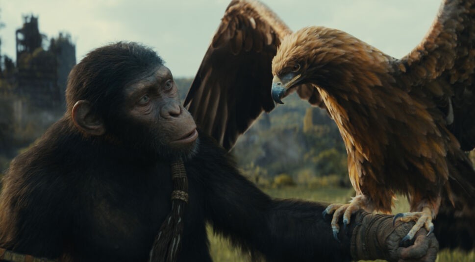 Caesar hat einen Adler auf seinem Arm