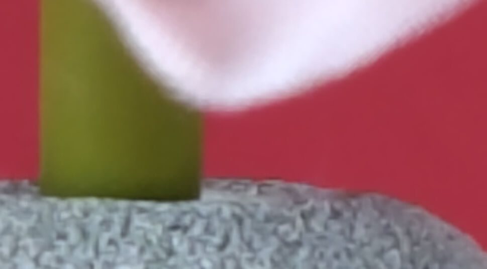 Blumenvase in 20-facher Vergrößerung vor rotem Hintergrund