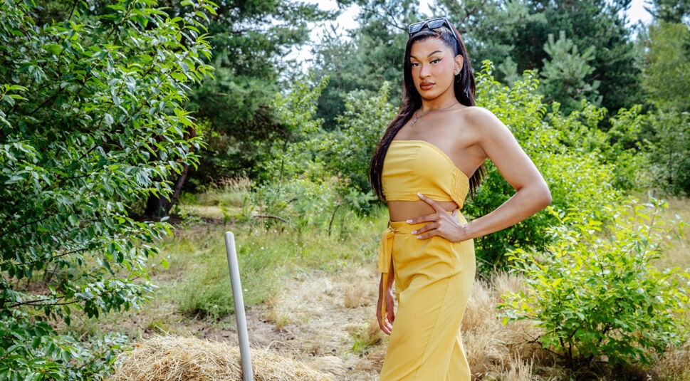 Auf dem Bild zur Show Der Promihof steht Chelsea selbstsicher neben einem Heuballen inmitten einer ländlichen Wiesenlandschaft. Sie trägt ein sonnengelbes, schulterfreies Zweiteiler-Outfit und Sonnenbrillen auf dem Kopf. Ihre Pose ist elegant und ausdrucksstark, die Szenerie strahlt sommerliche Leichtigkeit mit einem Hauch Glamour aus.