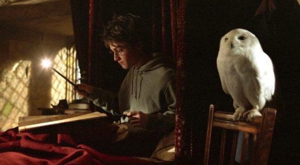 Was brauchte vor den Dreharbeiten der Filme sechs Monate Zeit?