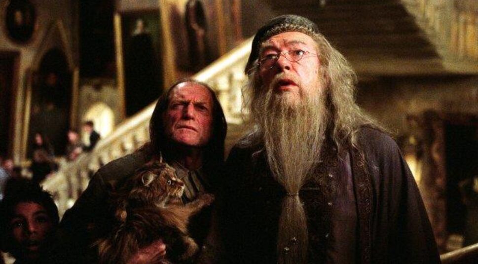 Herzlichen Glückwunsch! Du bestehst dein Hexen-Abi mit links! Du hast dabei doch hoffentlich nicht heimlich gezaubert?!