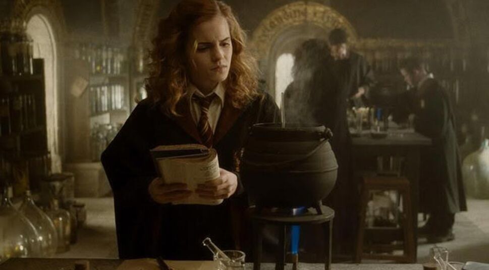 Was wäre in der Zauberschule Hogwarts wohl Dein Lieblingsfach?