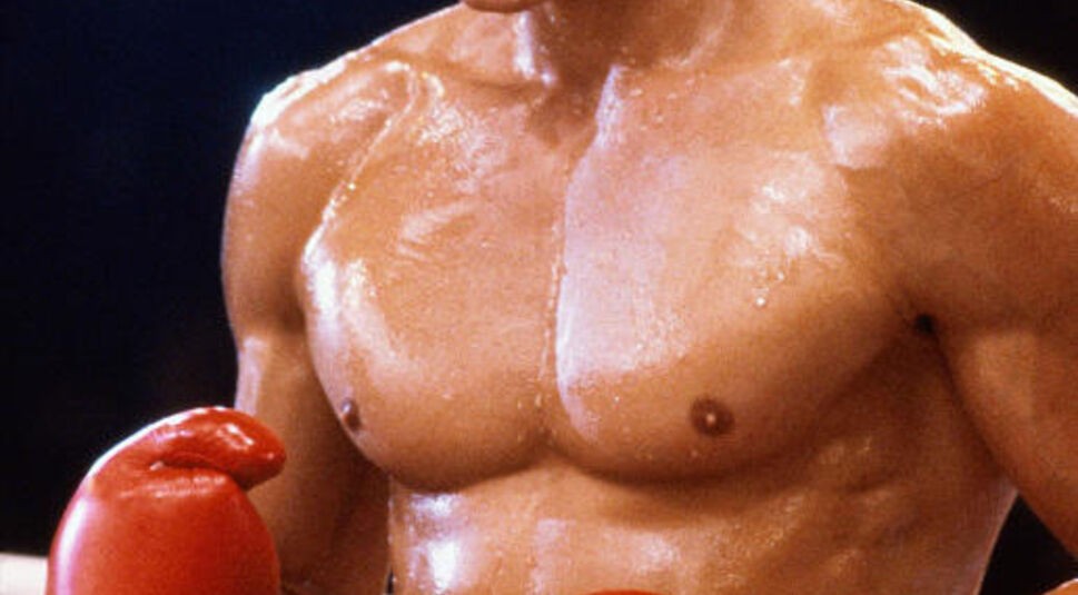 Du bist Ivan Drago, der "Sibirische Bulle"! Was dich auszeichnet, ist in jeder Hinsicht deine körperliche Überlegenheit. Gegen deine Hammerschläge ist kein Kraut gewachsen und du überragst jeden Gegner um mindestens eine Kopfgröße. Du kennst keine Gnade, kein Mitleid. Für dich zählt der Sieg und nur der Sieg allein. Denn du bist der Champion! Deine physischen Vorteile wirken sich auch auf deinen Boxstil aus: Du bist ein "Boxer-Puncher" und verbindest die besten Qualitäten anderer Stile. Obwohl du eher unbeweglich bist, zeichnet dein Stil Aggressivität und harte Schläge aus. Damit stehst du in der Tradition von osteuropäischen Boxern wie Wladimir Klitschko. 