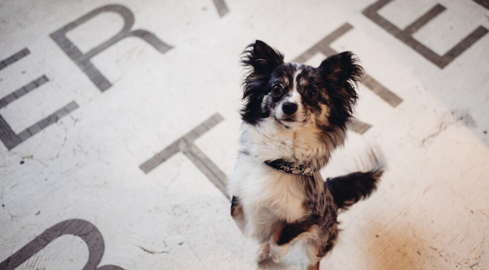 FOLKDAYS_MilenaZwerenz_highres--(8)